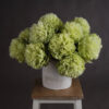 green peony