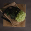 green peony