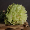 green peony