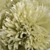 green peony