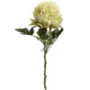 green peony