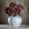 autumn coffee hydrangea