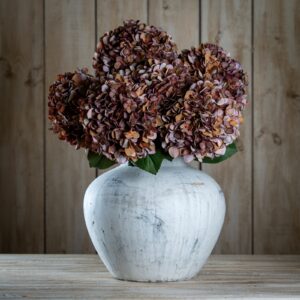 autumn coffee hydrangea