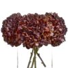 autumn coffee hydrangea