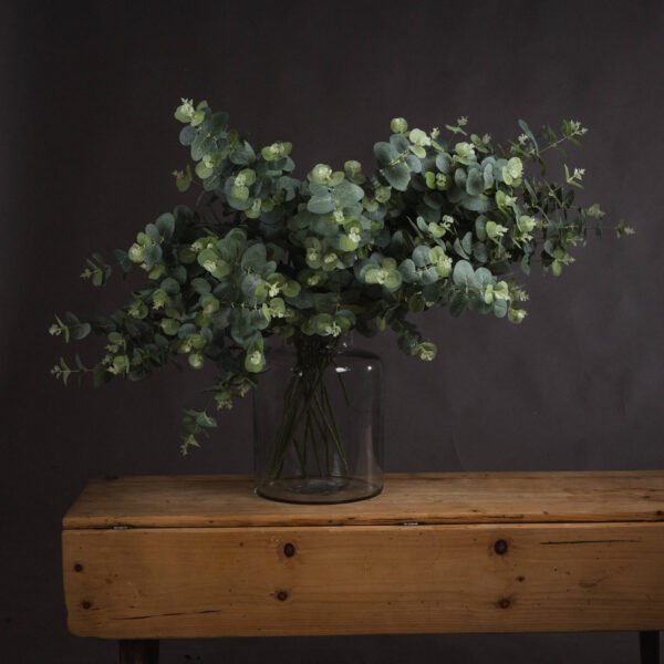 eucalyptus spray