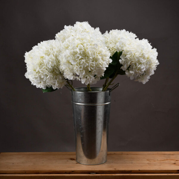 oversized white hydrangea