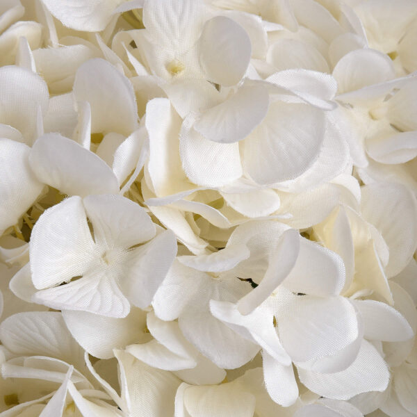 oversized white hydrangea