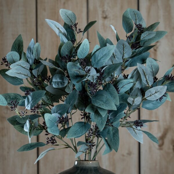 seeded eucalyptus stem
