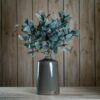 seeded eucalyptus stem