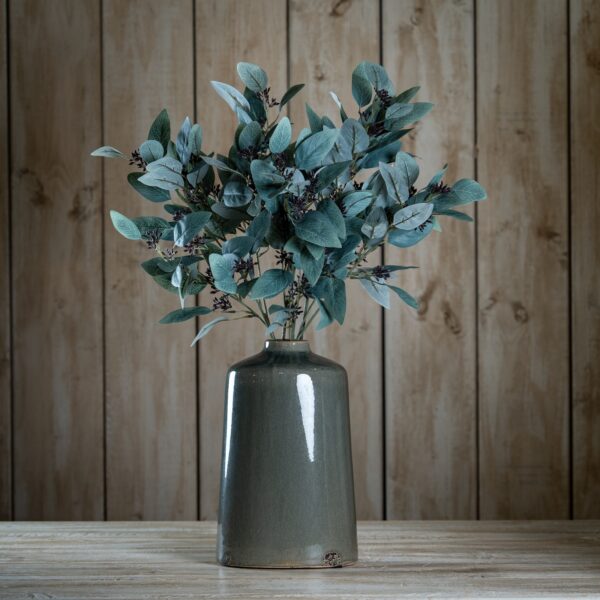 seeded eucalyptus stem